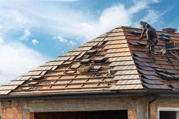 Best Chimney Flashing Repair  in Franklin Park, FL