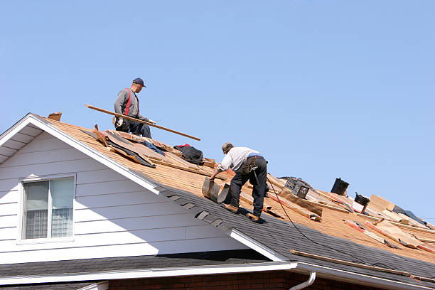 Best Asphalt Shingle Roofing  in Franklin Park, FL